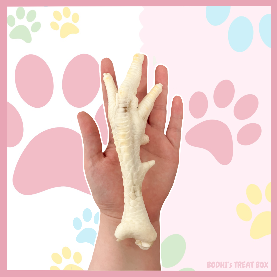 🐥 | Large Puffed Chicken Feet