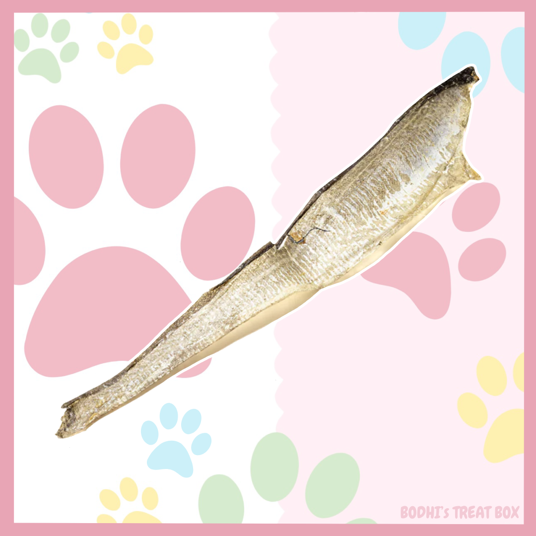 🐟 | Fish Skin Flats