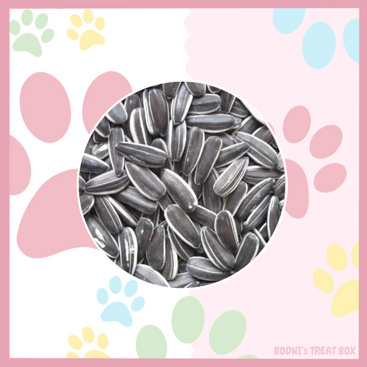 💛 | Sunflower Seeds - 100g Bag