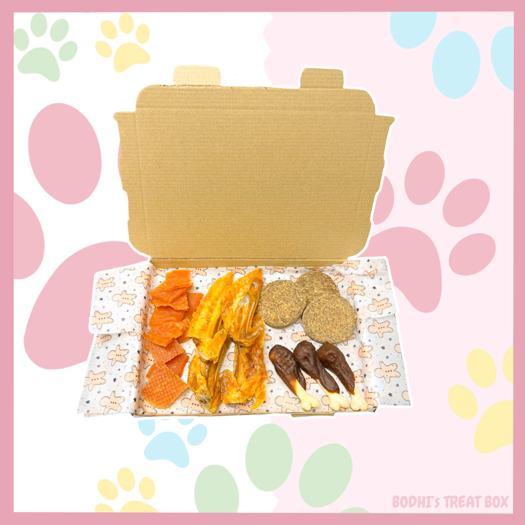 Festive Turkey Treat Box 🎄