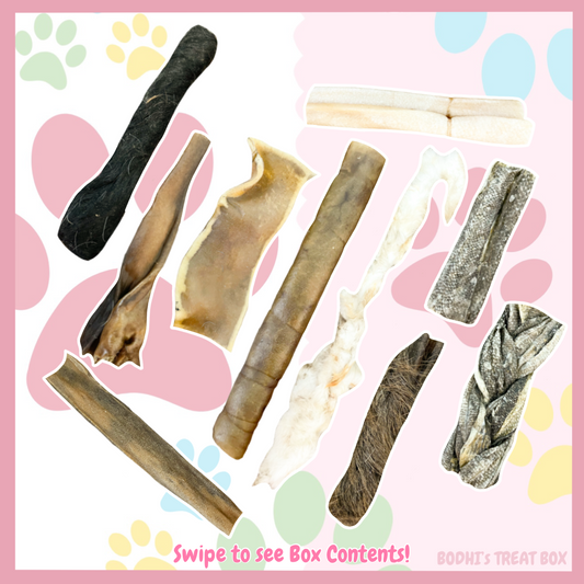 💝 | ‘The Skins Box’ Natural Treat Box For Dogs - (Includes 16 Treats)
