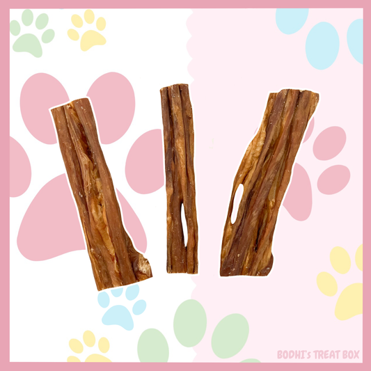 🐮 | Beef Intestine Chew